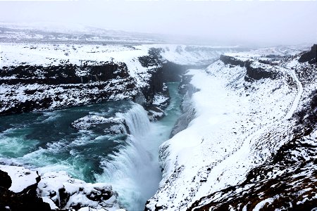 _MG_2461