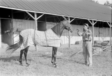 Winners in the Shelby County Horse Show and Fair in Shelbyville, Kentucky
