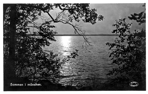 038 Sommen i månsken