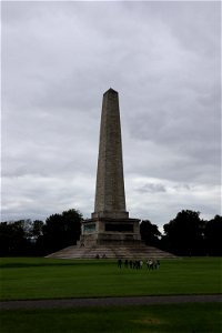 IMG_0529