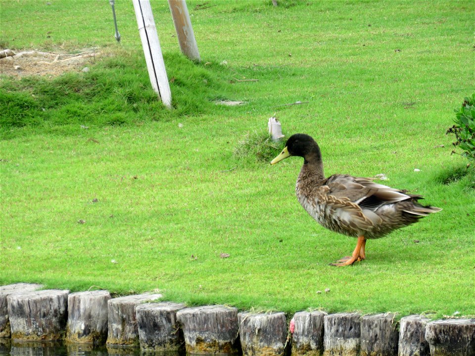 IMG_2453