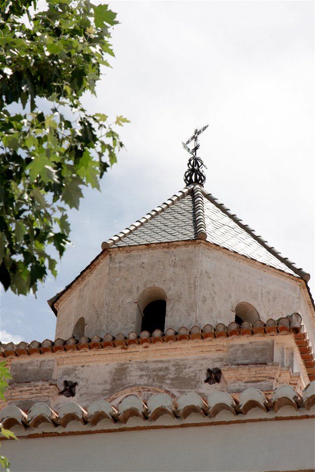 20090614_ANASpottyTop_0001.jpg