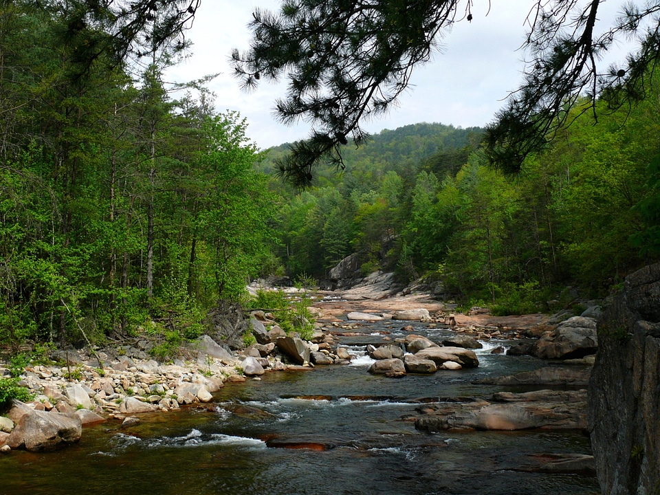 Wilson Creek in Pisgah National Forest
