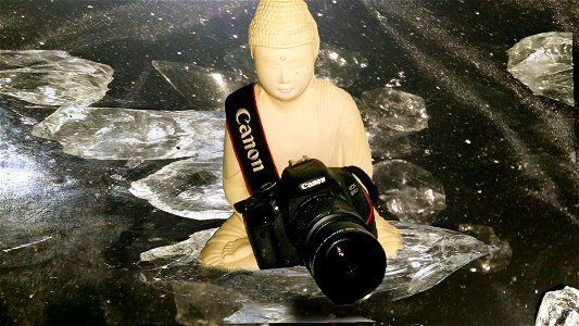 Buddha take photos photo