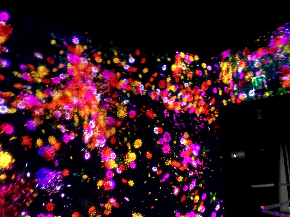 teamLab