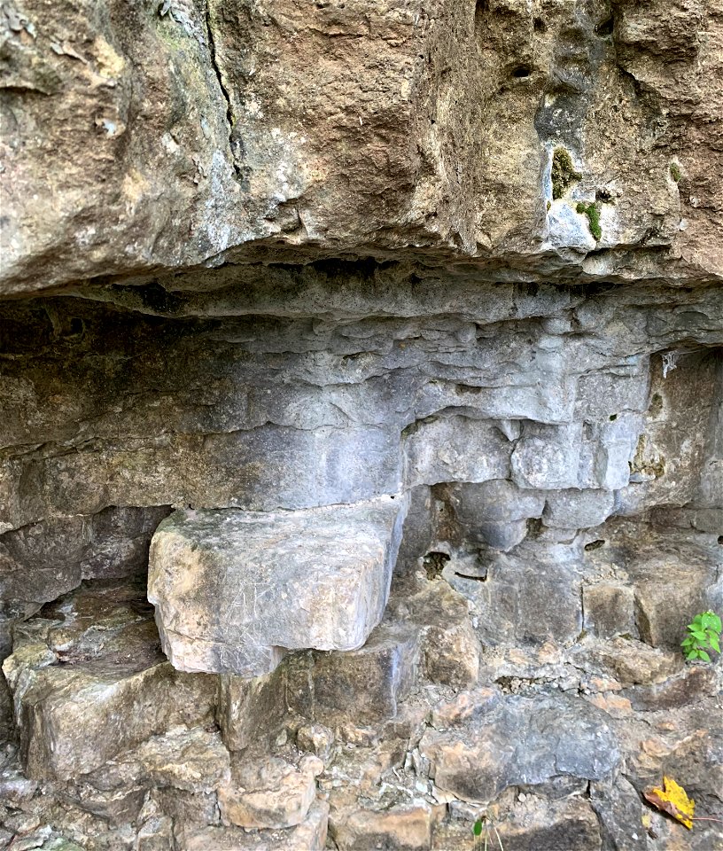 Dolomites (Cedarville Dolomite over Springfield Dolomite, Middle Silurian; outcrop in John Bryan State Park, Ohio, USA)