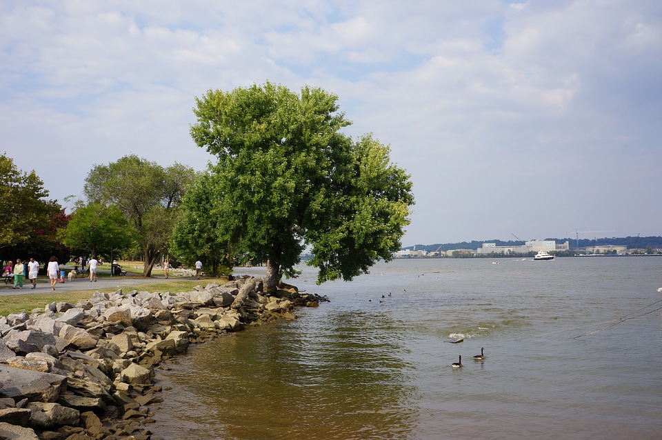 Waterfront Park - Old Town Alexandria