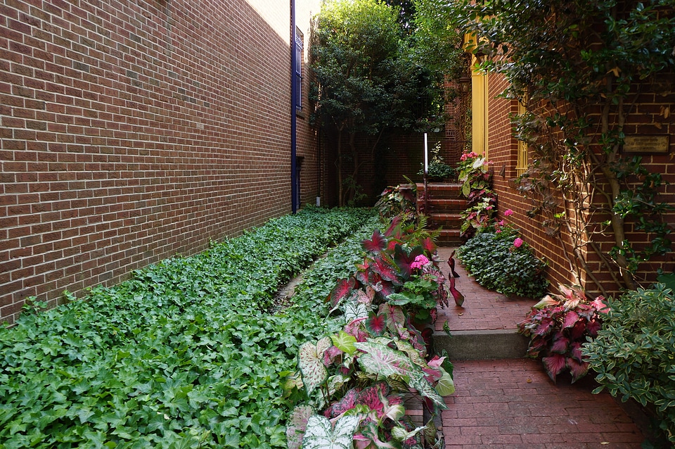 Flower Beds Landscape