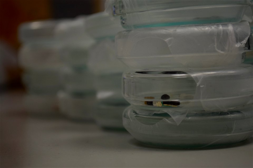 Greenpeace Research Laboratories - Science Unit at University of Exeter