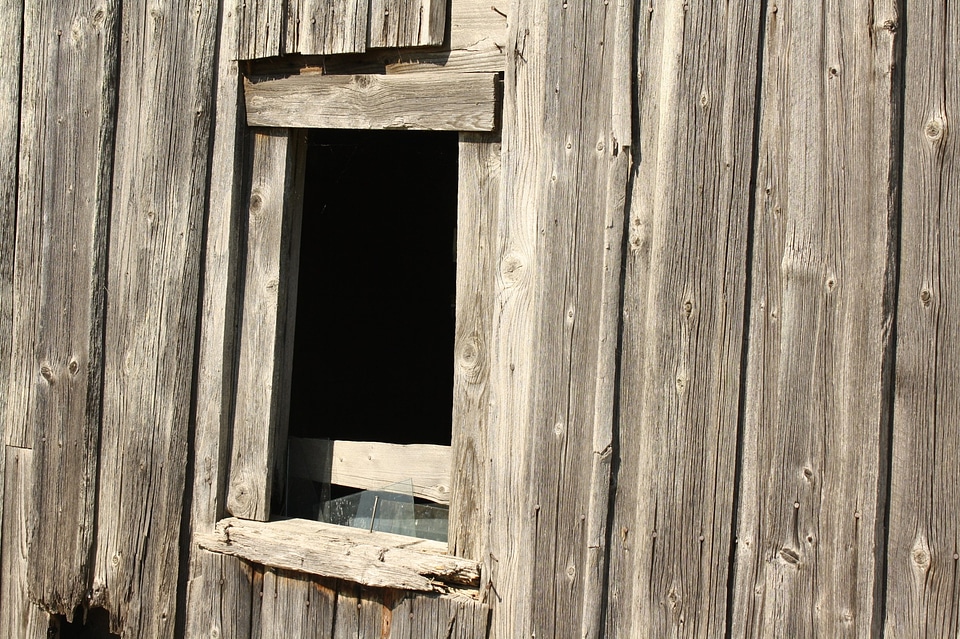 Log cabin hut lapsed