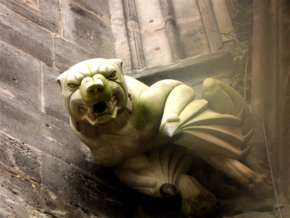 Gargoyle am Magdeburger Dom photo