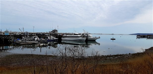 Plymouth Harbor