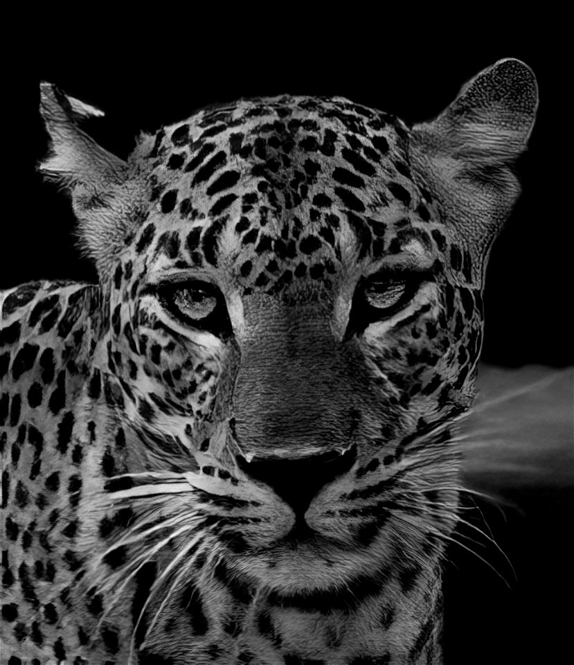 DSC_2313-Edit-2