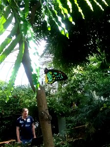 IMG_20160718_094334