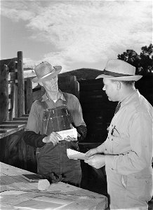 Historic photo of a freight train conductor speaking a to railroad man who was in charge of shipping livestock in Cimarron, Colorado
