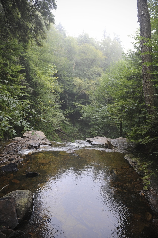 Ricketts Glen State Park - Benton, PA