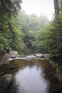 Ricketts Glen State Park - Benton, PA