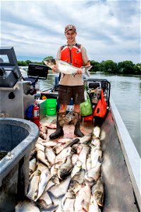 Fish Biologist with Silver Carp