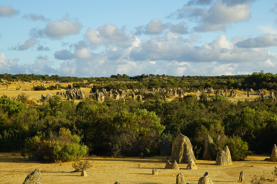 The Pinnacles National Park