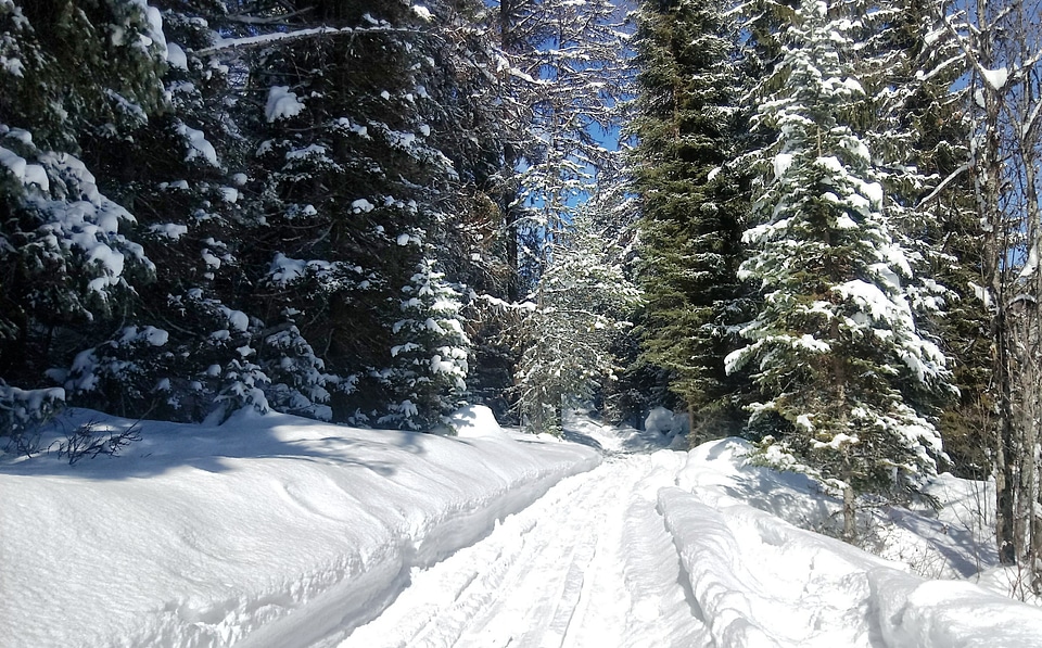 The trail at Frater Lake on the Colville National Forest