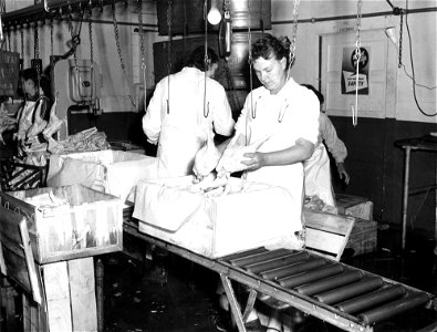 Preparing processing chicken for shipment, unidentified workers