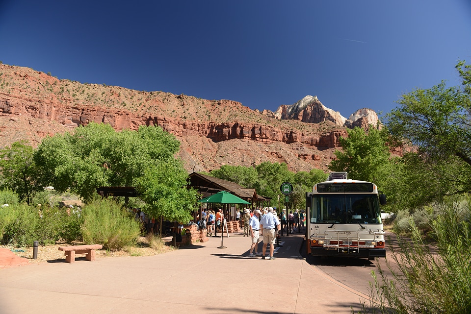 Amazing landscape of canyon in Zion National Park, The Narrow