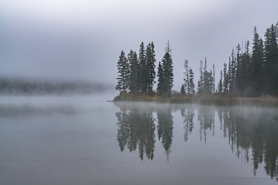 Flathead National Forest in Montana