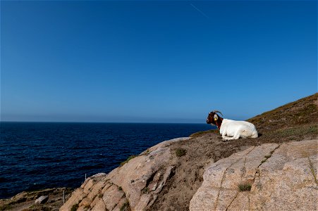 DSC_0509