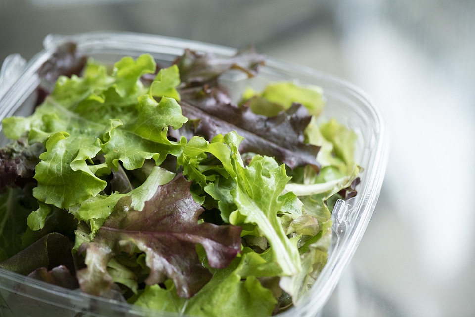 Mixed leafy greens growing at Green Farm