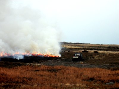 Bingley Moor (09-11-2021) 2