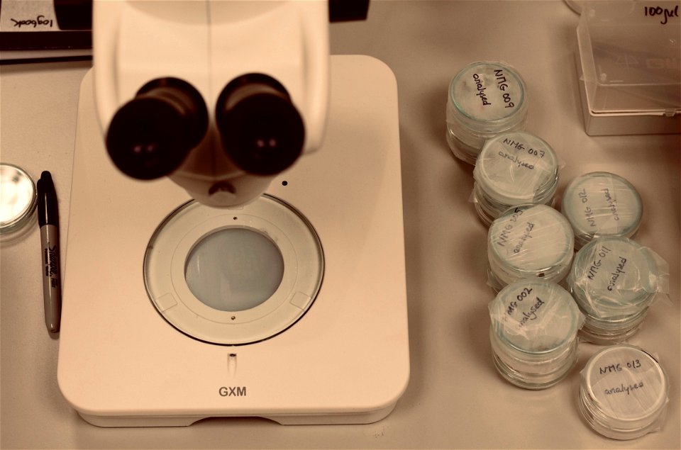 Greenpeace Research Laboratories - Science Unit at University of Exeter