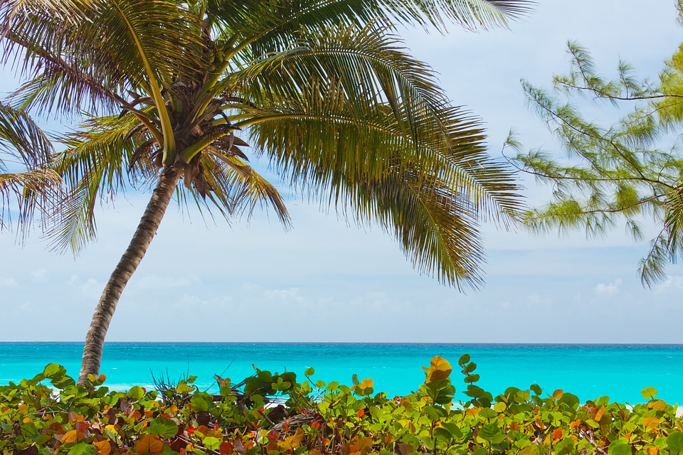 Coast landscape ocean