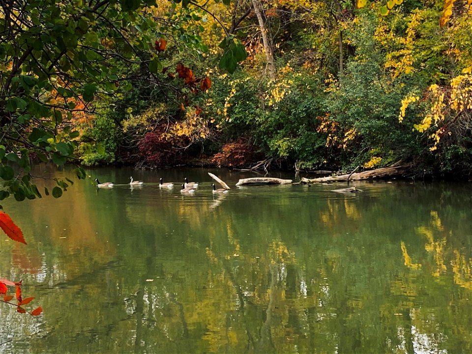 Walking by the Mohawk Lake, Brantford, Canada