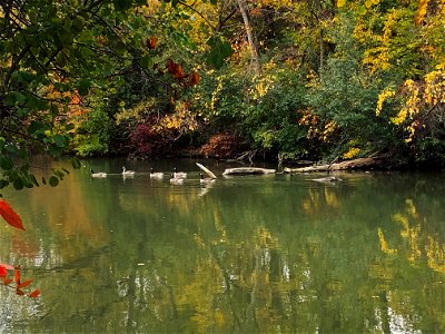 Walking by the Mohawk Lake, Brantford, Canada