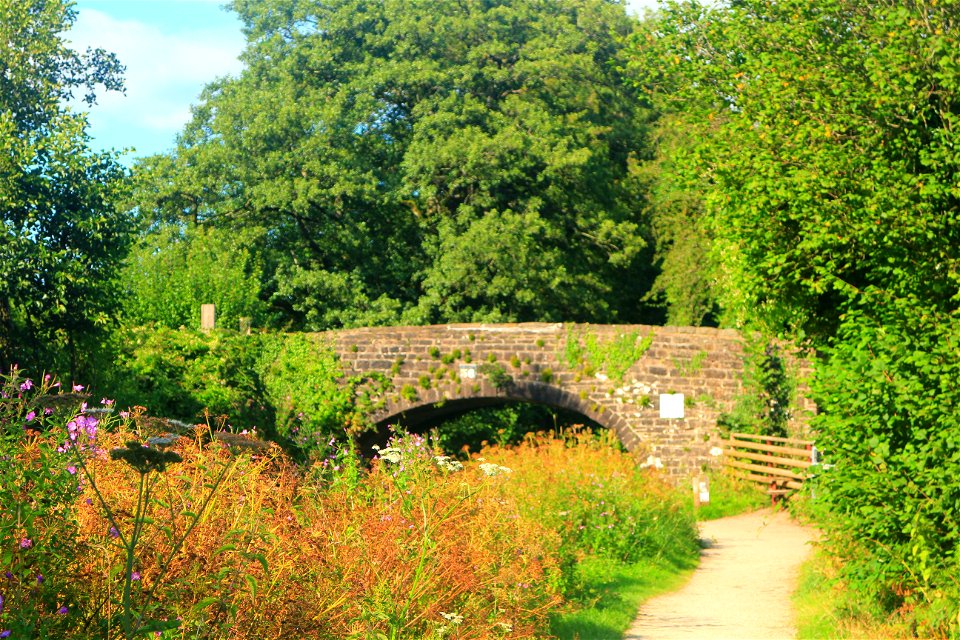 Bridge Amongst the Flowers