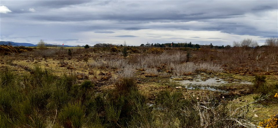 Culloden Battlefield, Inverness photo