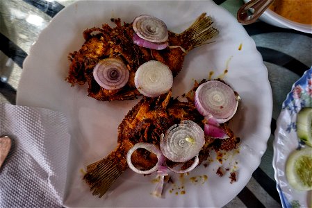 DSC01339-01