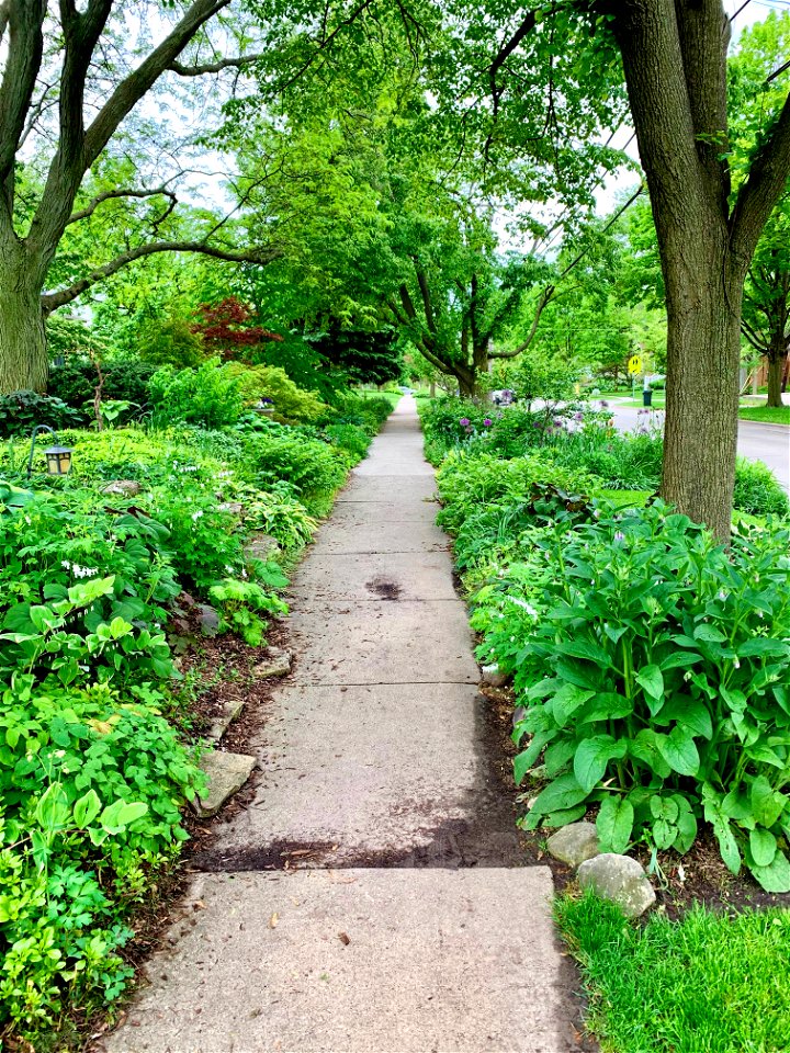 Glen Ellyn Sidewalk