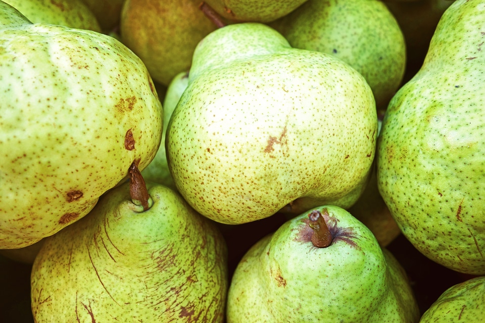 Organic healthy tasty