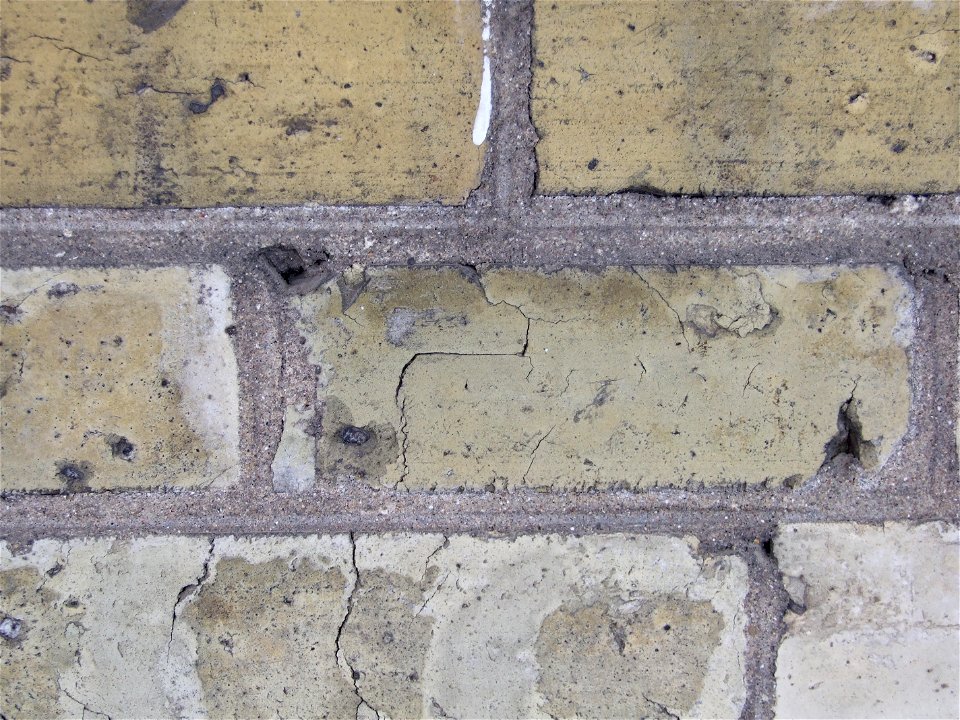 DSCF7478