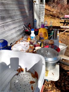 Forest Cleanup-1