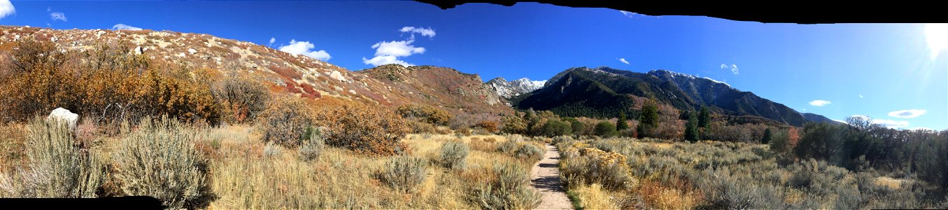 Bells Canyon, Uinta-Wasatch-Cache National Forest, Utah