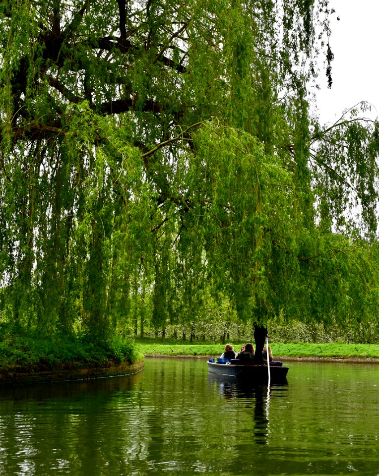 PUNTING IN CAMBRIDGE