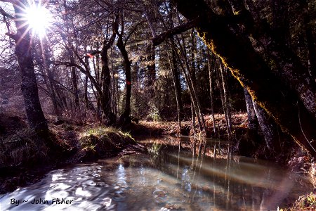 Calm and Tranquility