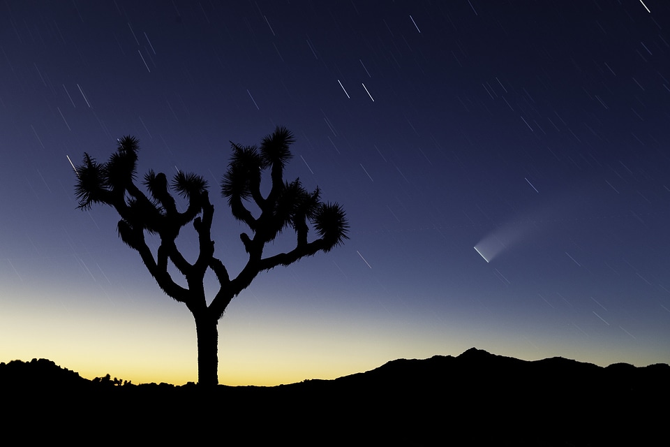 Comet NEOWISE over Queen Valley