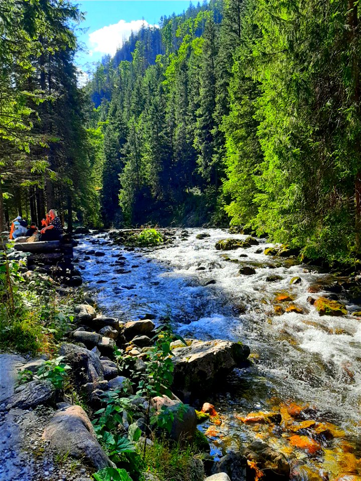 Mountains nature