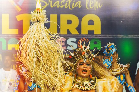 Brasília tem Carnaval