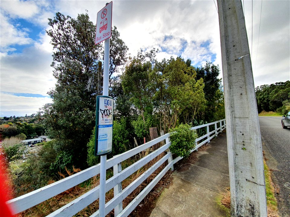 Graffiti on bus stop sign on Frankley Road, Frankleigh Park, Ngamotu New Plymouth