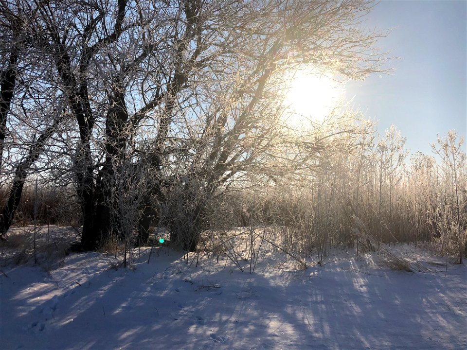 ice