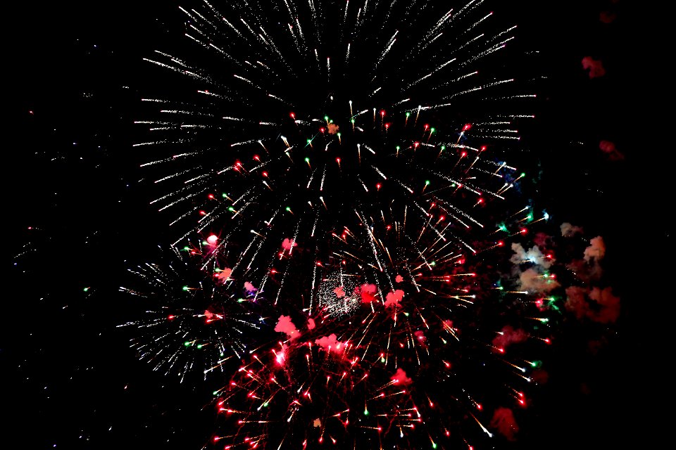 DSC_8406